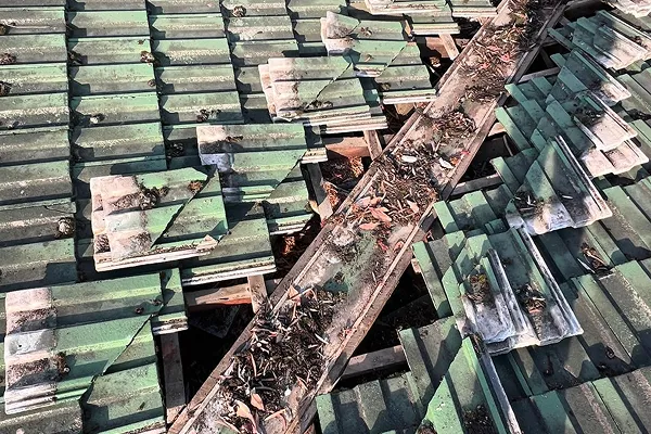 roof maintenance & repair