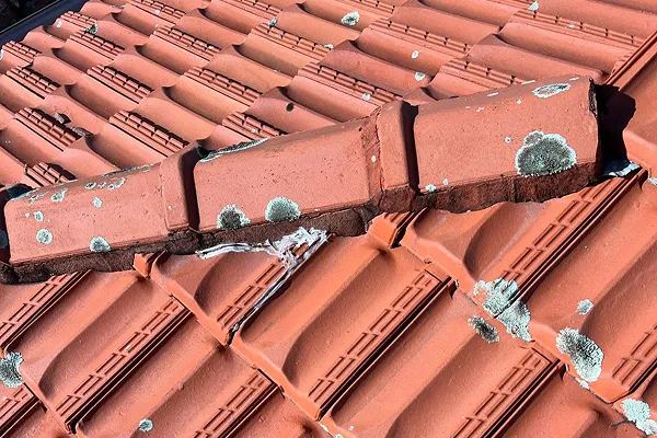 roof maintenance & repair