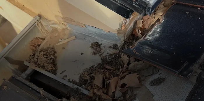 gutter cleaning
