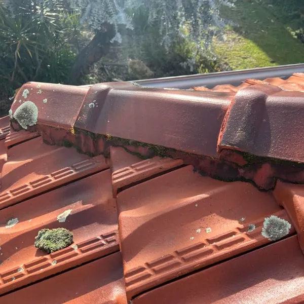 ridge capping